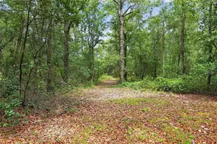 1504 NW 156th Ave, Gainesville, FL 32609 - Photo 66