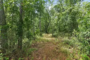 1504 NW 156th Ave, Gainesville, FL 32609 - Photo 74