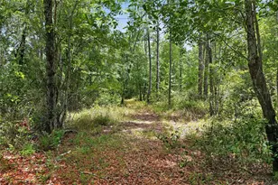 1504 NW 156th Ave, Gainesville, FL 32609 - Photo 70