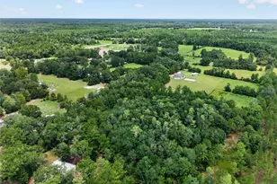 1504 NW 156th Ave, Gainesville, FL 32609 - Photo 64