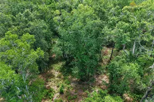 1504 NW 156th Ave, Gainesville, FL 32609 - Photo 60