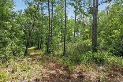 1504 NW 156th Avenue, Gainesville, FL 32609 - Photo 76