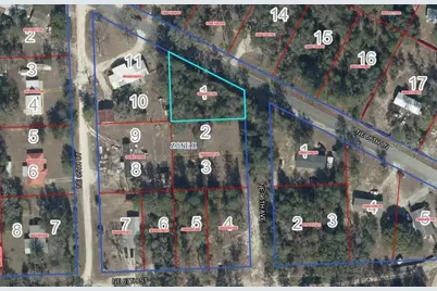 Lot 1 NE 66th Ln, Bronson, FL 32621 - Photo 6