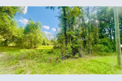 Lot 1 NE 66th Ln, Bronson, FL 32621 - Photo 4