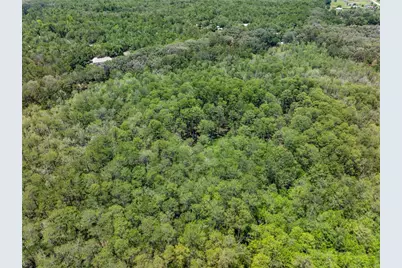 Lot 46 SW Roanoke Terrace, Fort White, FL 32038 - Photo 12