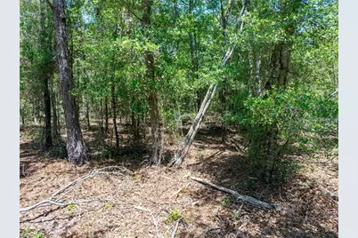 Lot 46 SW Roanoke Terrace, Fort White, FL 32038 - Photo 16