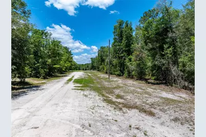 Lot 46 SW Roanoke Terrace, Fort White, FL 32038 - Photo 1