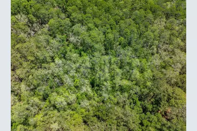 Lot 46 SW Roanoke Terrace, Fort White, FL 32038 - Photo 10