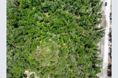 Lot 46 SW Roanoke Terrace, Fort White, FL 32038 - Photo 8