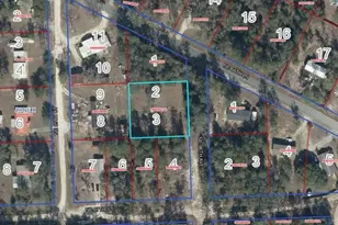Lot 2&3 NE 95th Ave, Bronson, FL 32621 - Photo 1