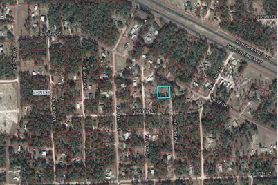 Lot 2&3 NE 95th Ave, Bronson, FL 32621 - Photo 2