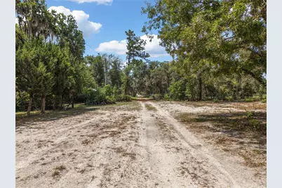 704 SE 791st Street, Old Town, FL 32680 - Photo 40