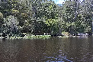 704 SE 791st St, Old Town, FL 32680 - Photo 58