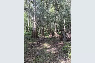 704 SE 791st Street, Old Town, FL 32680 - Photo 56