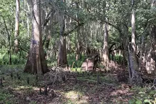 704 SE 791st St, Old Town, FL 32680 - Photo 56