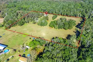 21800 SW 15th Ave, Newberry, FL 32669 - Photo 38