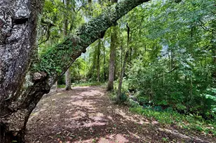 4415 NW 33rd Ct, Gainesville, FL 32606 - Photo 10