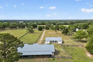 13009 NW 123rd Pl, Alachua, FL 32615 - Photo 52