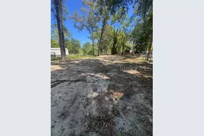 8630 SW 82nd Terrace, Trenton, FL 32693 - Photo 12