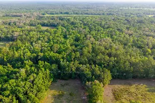 1708 NW 230th Pl, Brooker, FL 32622 - Photo 42