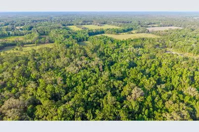 1708 NW 230th Place, Brooker, FL 32622 - Photo 20