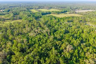 1708 NW 230th Pl, Brooker, FL 32622 - Photo 20