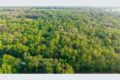 1708 NW 230th Place, Brooker, FL 32622 - Photo 8