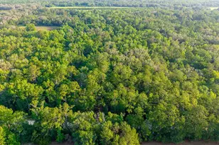 1708 NW 230th Pl, Brooker, FL 32622 - Photo 8