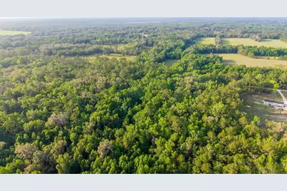 1708 NW 230th Place, Brooker, FL 32622 - Photo 14
