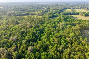 1708 NW 230th Pl, Brooker, FL 32622 - Photo 14