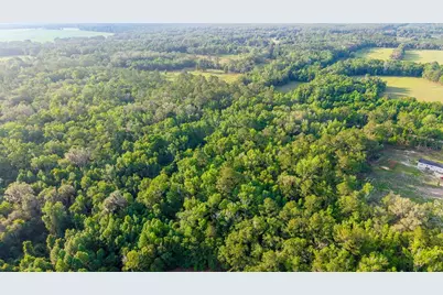 1708 NW 230th Place, Brooker, FL 32622 - Photo 12