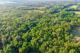 1708 NW 230th Pl, Brooker, FL 32622 - Photo 12