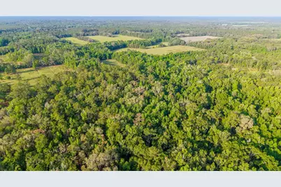 1708 NW 230th Place, Brooker, FL 32622 - Photo 22