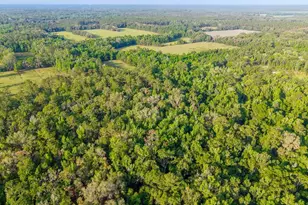 1708 NW 230th Pl, Brooker, FL 32622 - Photo 22
