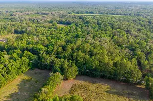 1708 NW 230th Pl, Brooker, FL 32622 - Photo 40