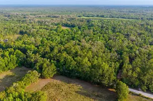 1708 NW 230th Pl, Brooker, FL 32622 - Photo 38