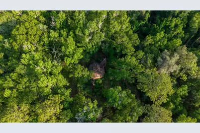 1708 NW 230th Place, Brooker, FL 32622 - Photo 6