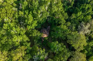 1708 NW 230th Pl, Brooker, FL 32622 - Photo 6