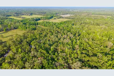 1708 NW 230th Place, Brooker, FL 32622 - Photo 24