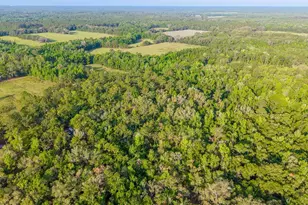 1708 NW 230th Pl, Brooker, FL 32622 - Photo 24