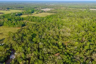 1708 NW 230th Pl, Brooker, FL 32622 - Photo 26