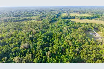 1708 NW 230th Place, Brooker, FL 32622 - Photo 16