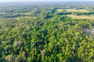 1708 NW 230th Pl, Brooker, FL 32622 - Photo 16