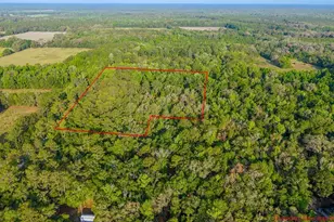 1708 NW 230th Pl, Brooker, FL 32622 - Photo 30