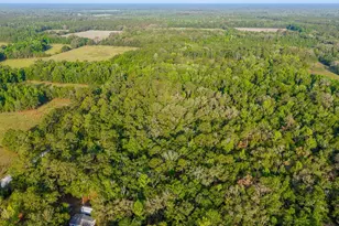 1708 NW 230th Pl, Brooker, FL 32622 - Photo 28