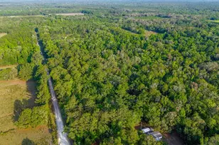 1708 NW 230th Pl, Brooker, FL 32622 - Photo 34