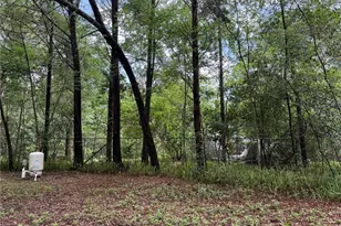 221 SW 138th Terrace, Newberry, FL 32669 - Photo 14