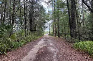 221 SW 138th Terrace, Newberry, FL 32669 - Photo 20