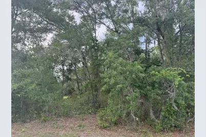 21902 NE 69th Place, Melrose, FL 32666 - Photo 2