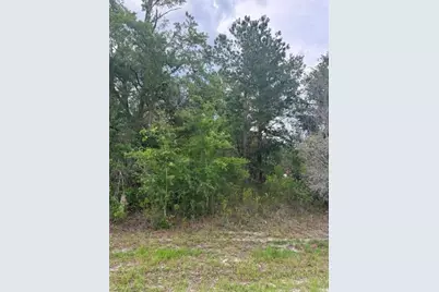 21902 NE 69th Place, Melrose, FL 32666 - Photo 4